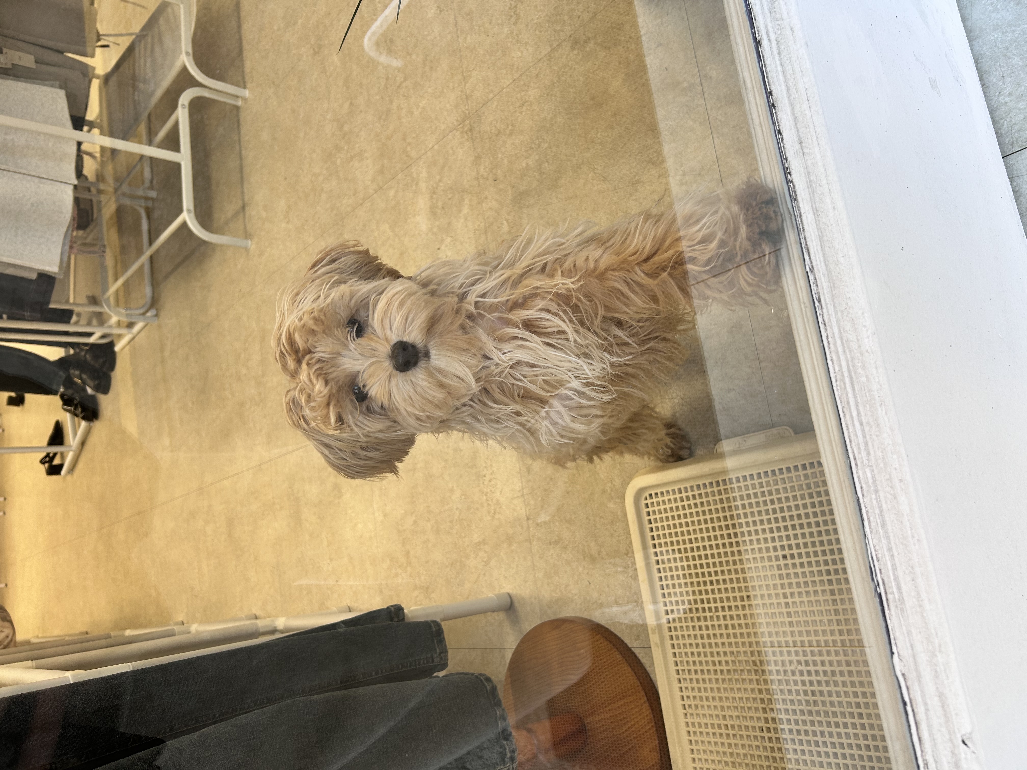 Portrait Photography